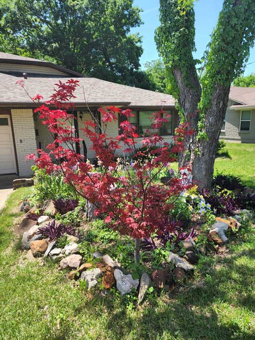 May_yard_of_month2b